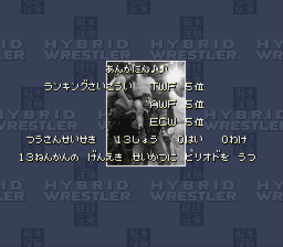 船木誠勝HYBRID WRESTLER 闘技伝承 - 「SFCのゲーム制覇しましょ